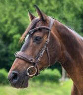 WALDHAUSEN Lederkappzaum, anatomic, schwarz